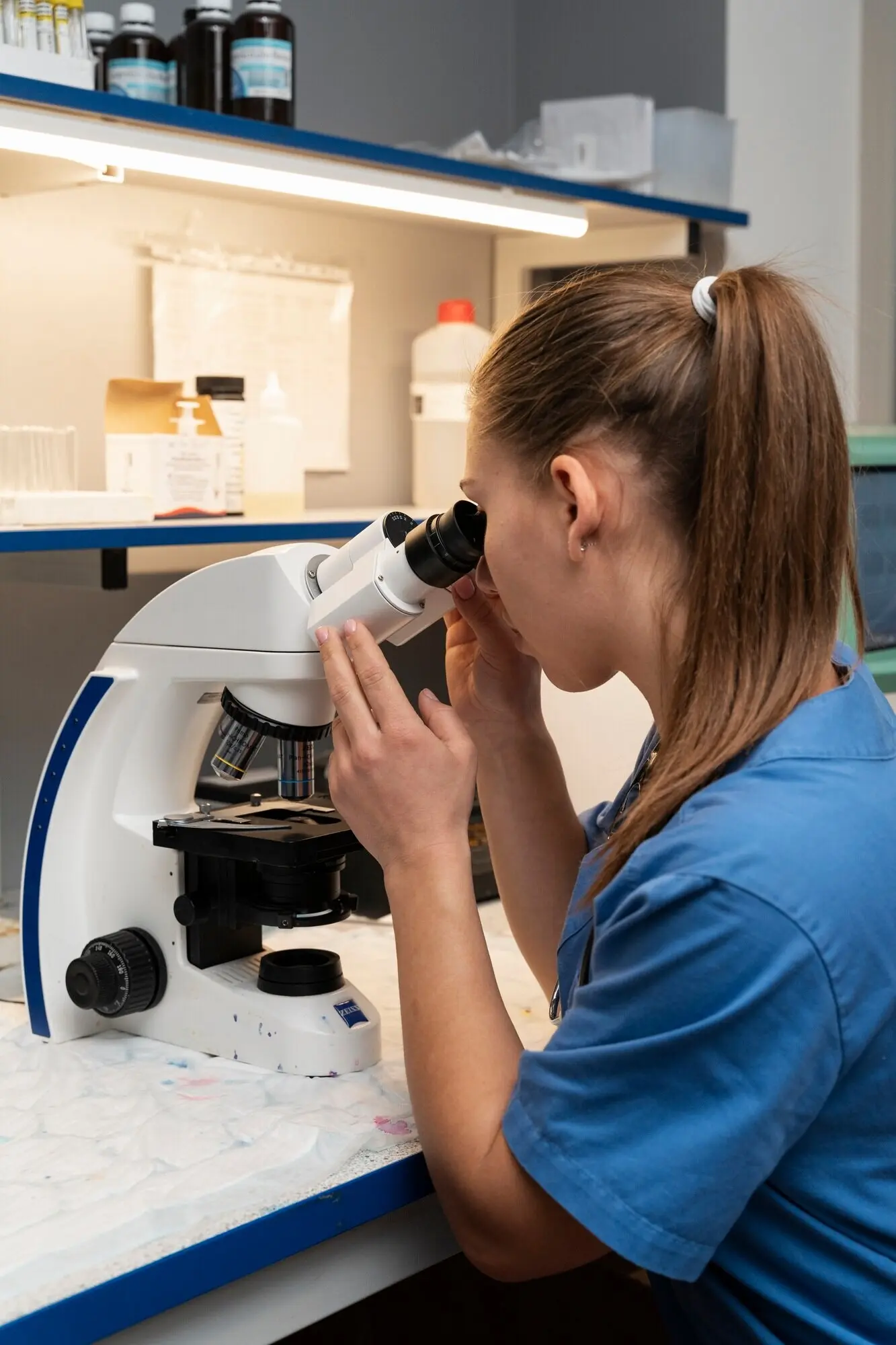 Veterinario a cargo de los análisis de sangre